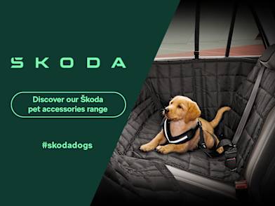 Skoda dog accessories deals