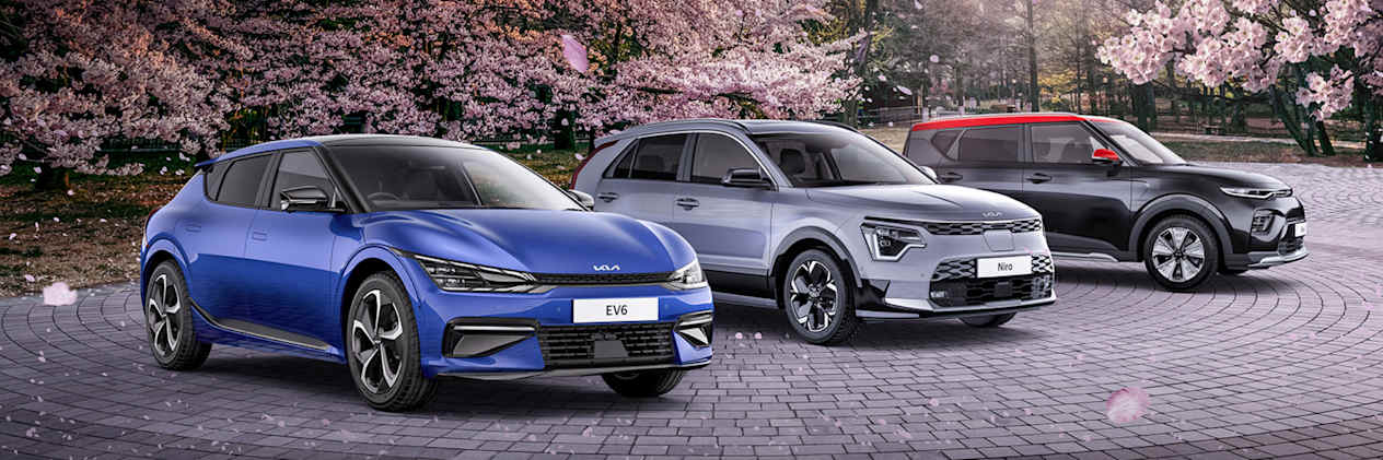 Take the lead. Drive electric