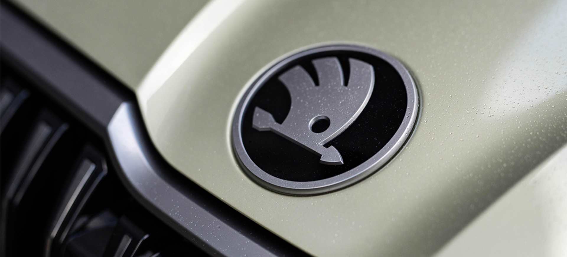 We Want Your Škoda