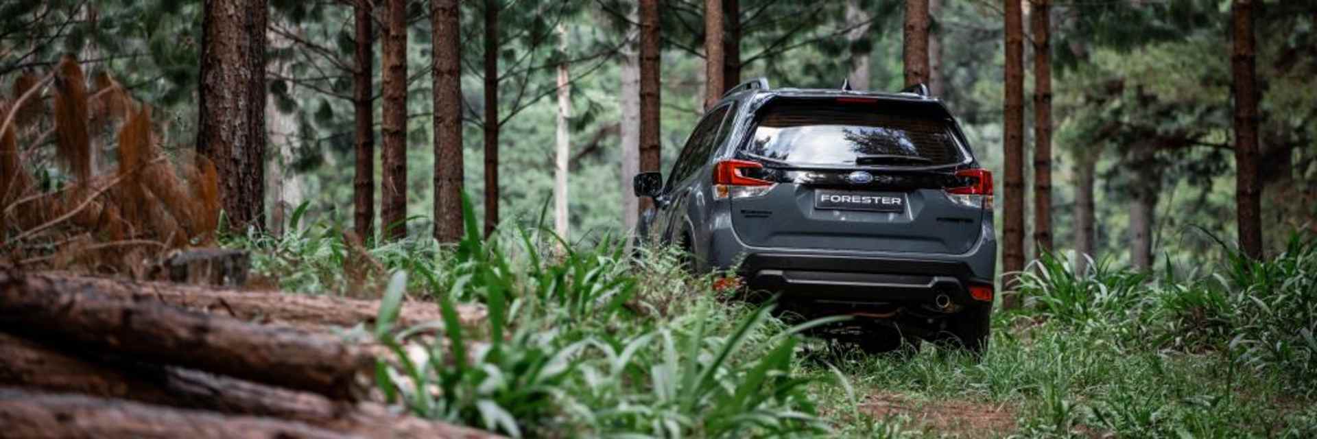Subaru - Banner.