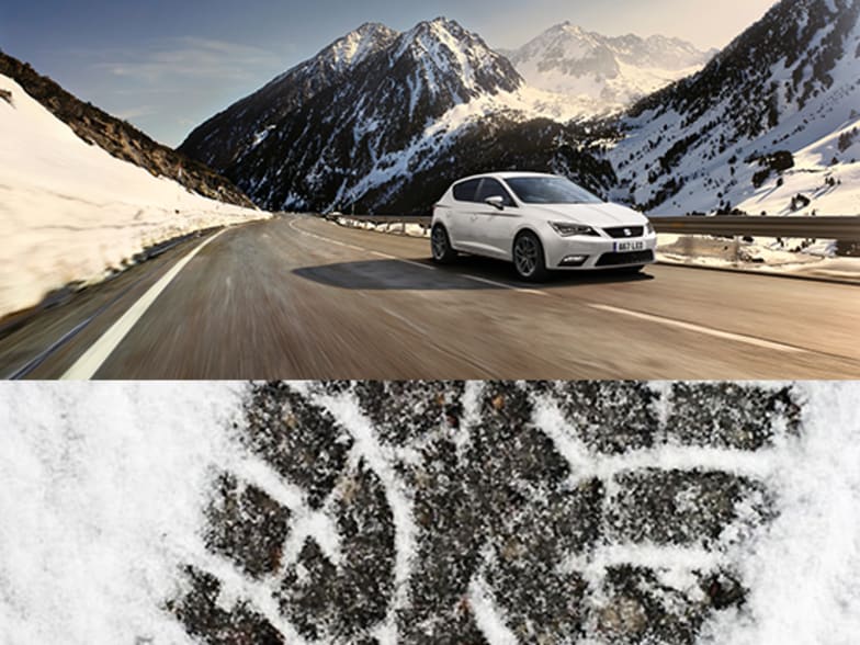 Seat Winter Health Check Book Yours Now
