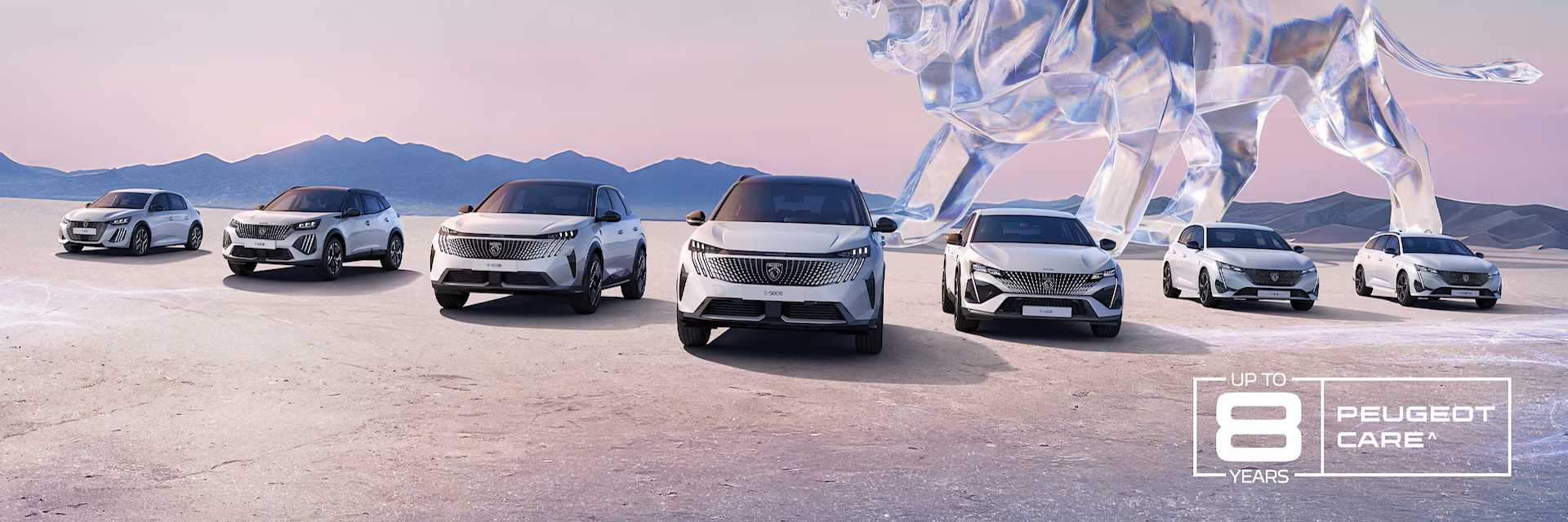 Peugeot Allure care 
