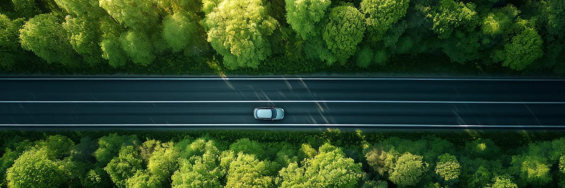 Summer Booking Now Open