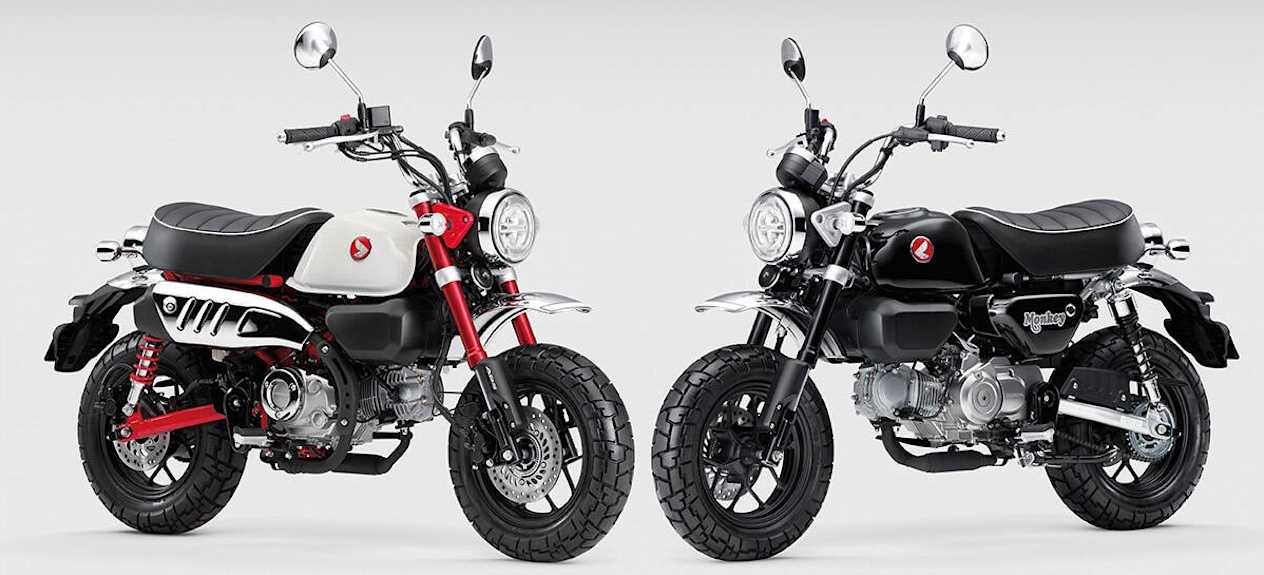 Honda Monkey coloris 2025