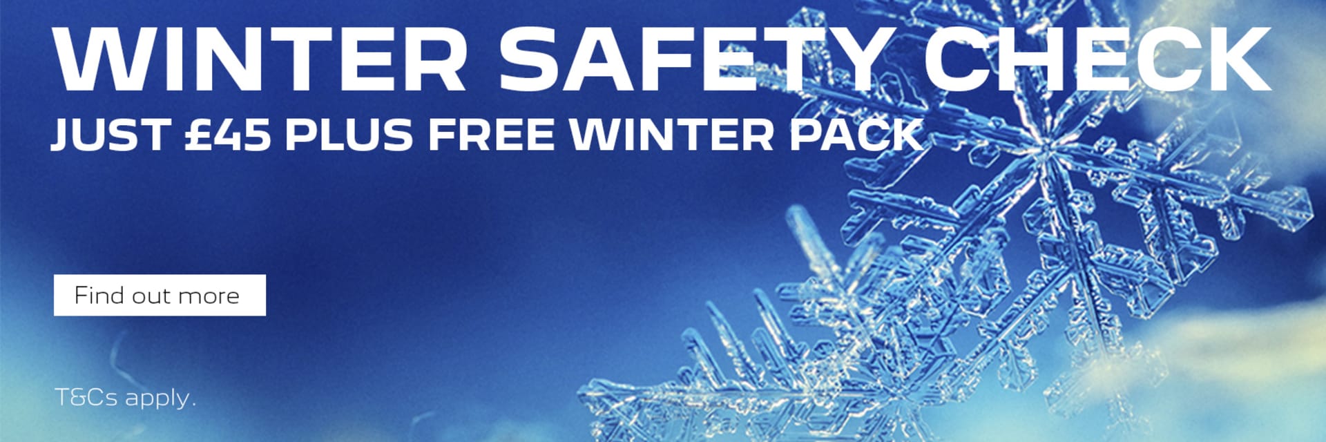 Winter Safety Check with FREE Winter Pack