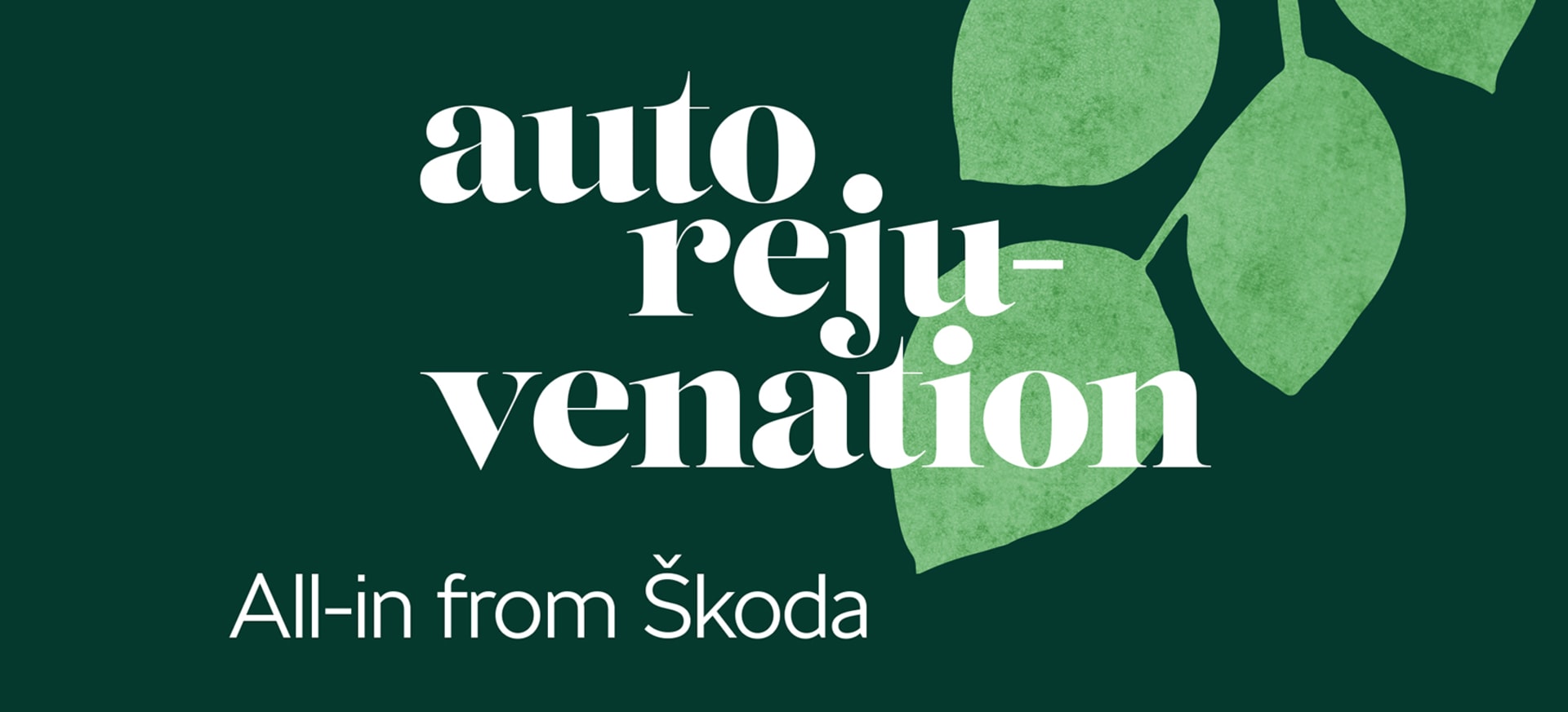 Get more with all-in from Škoda. 