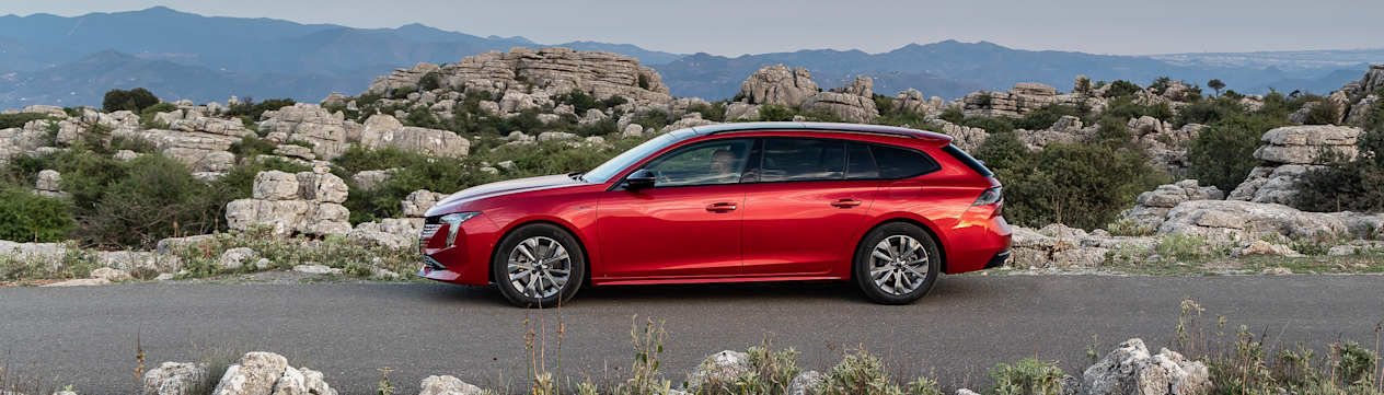 Peugeot 508 SW 2023 : profil