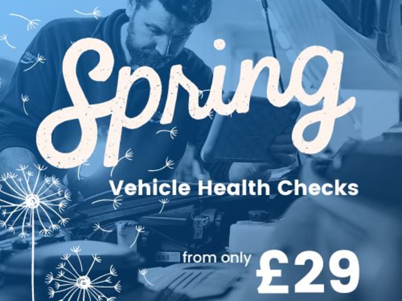 Spring Vehicle Health Check 