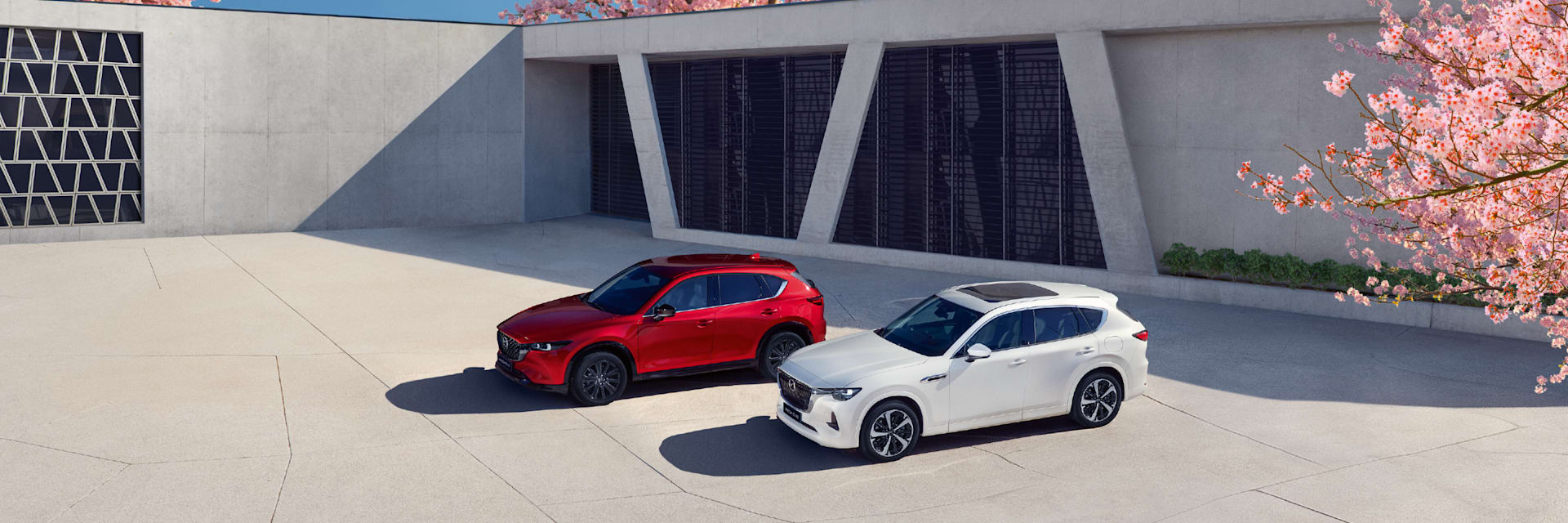 Spring SUV Sale Event