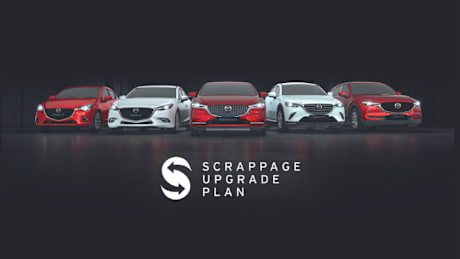 Scrappage Scheme Offers Ni Saltmarine