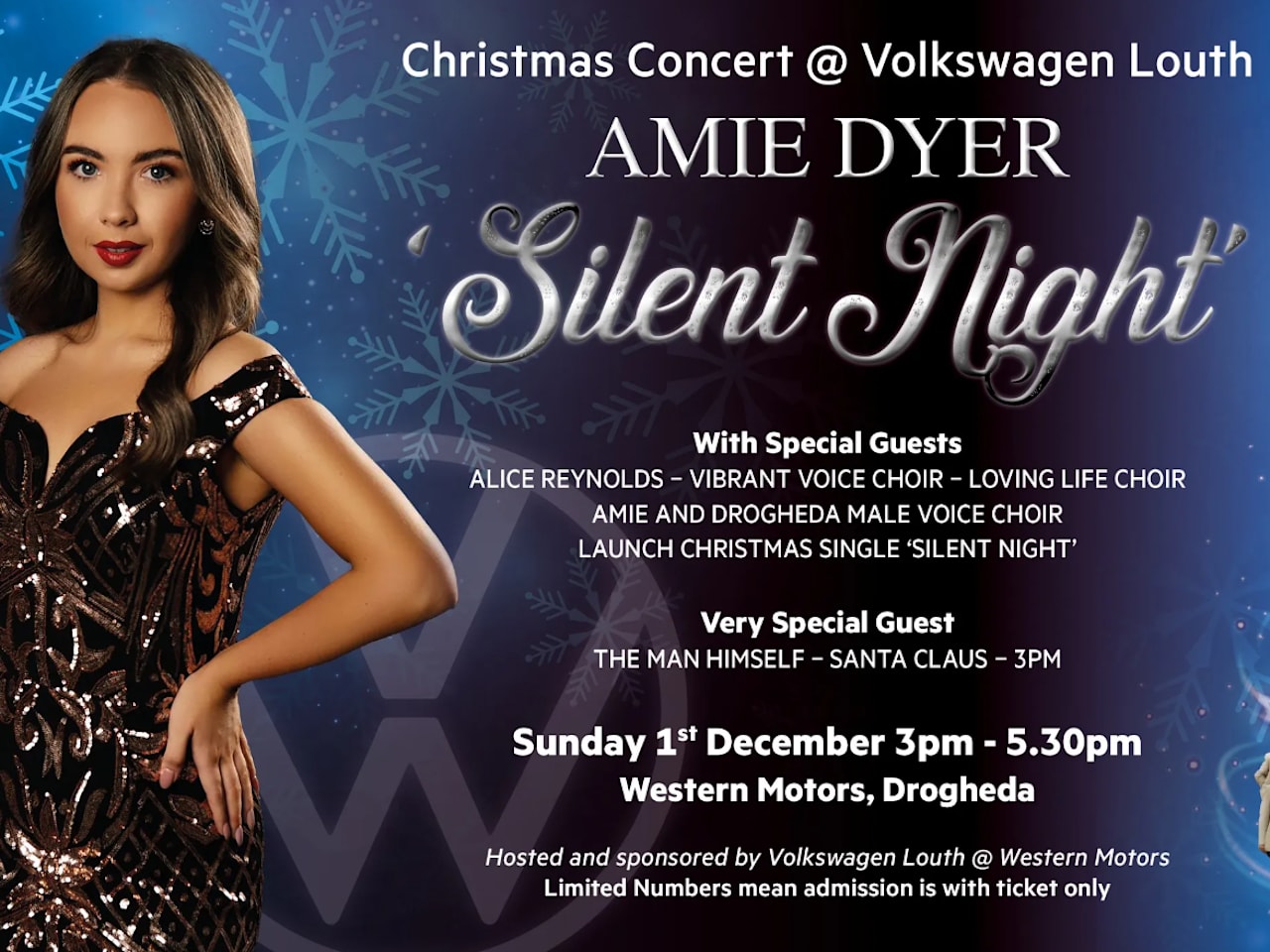 Volkswagen Louth Light up for Christmas