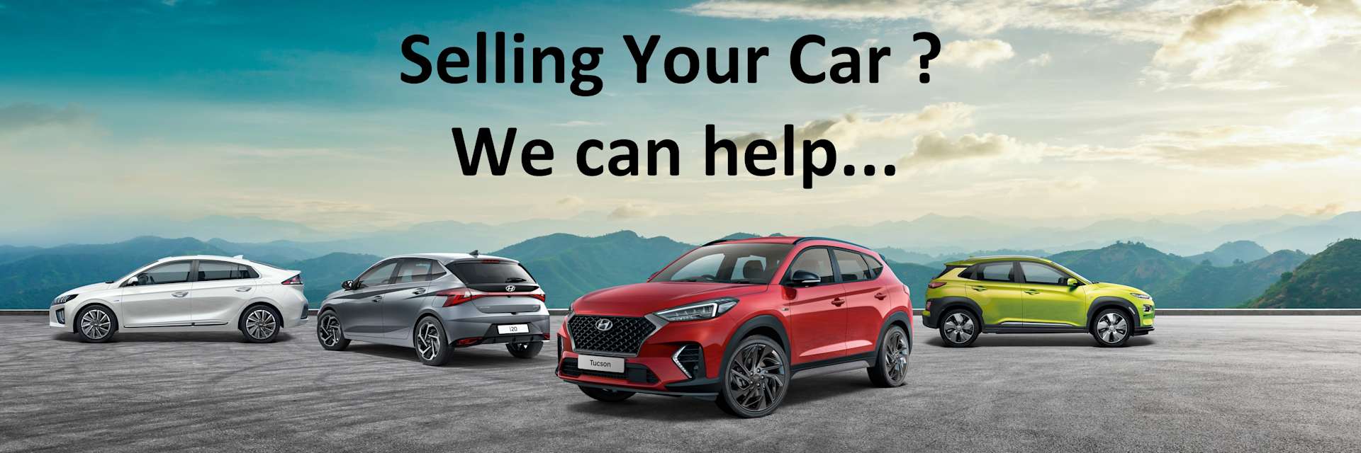 We Want Your Car