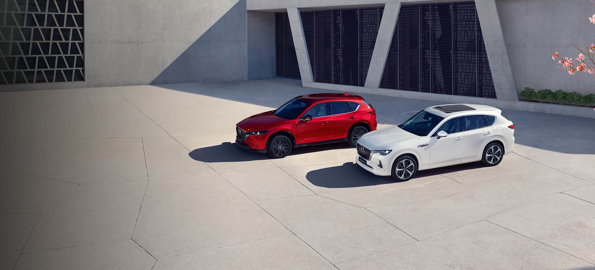 Mazda CX-5 & CX-60 Lifestyle