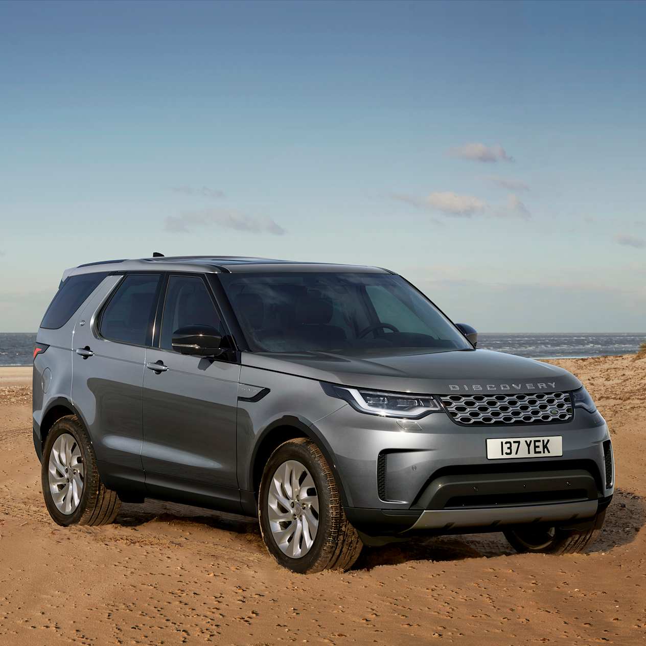 Discovery on beach