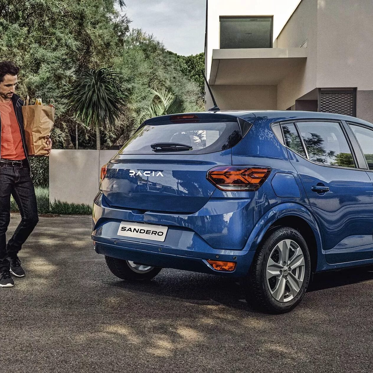 Sandero Rear Exterior