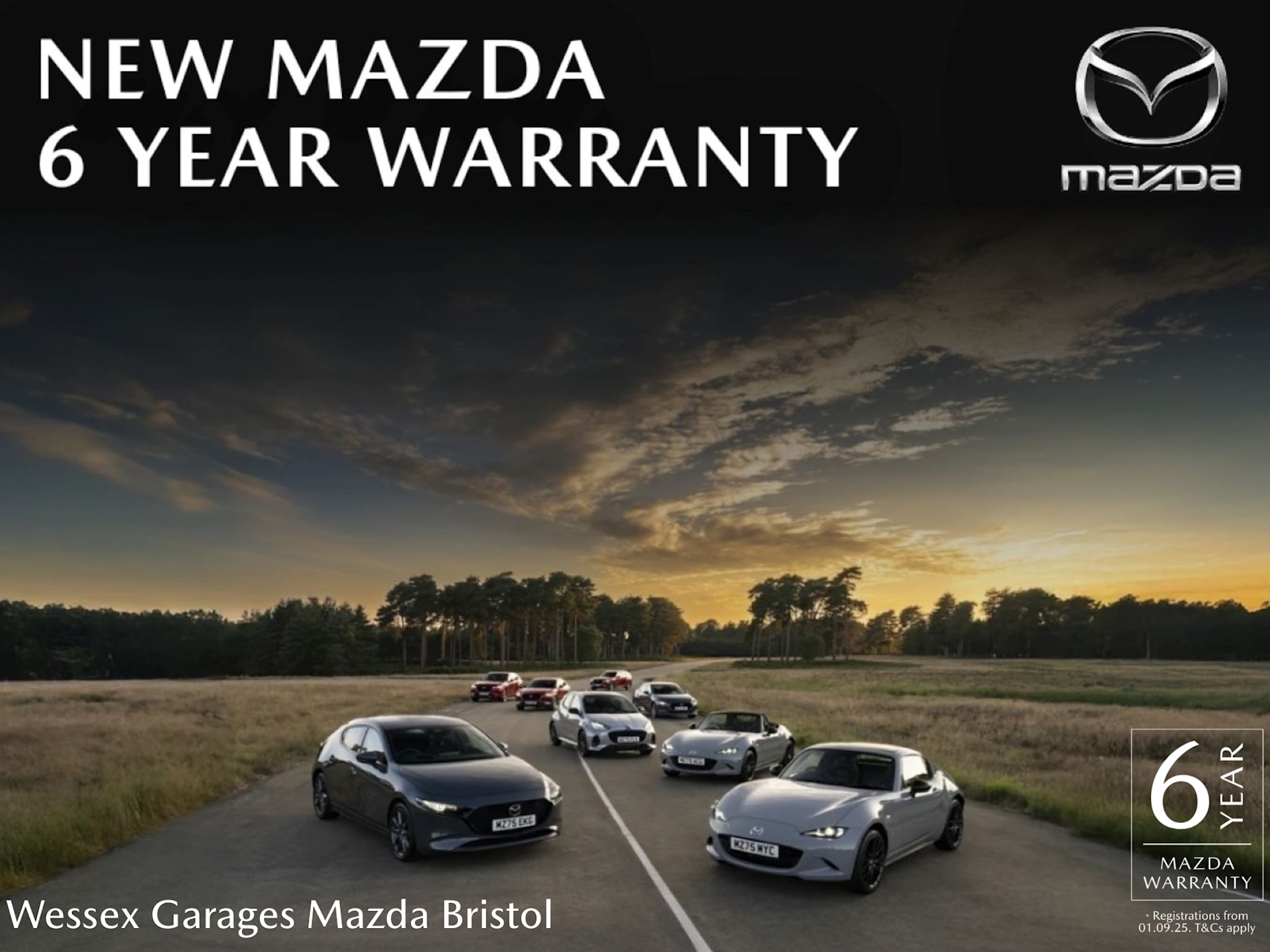 Warranty