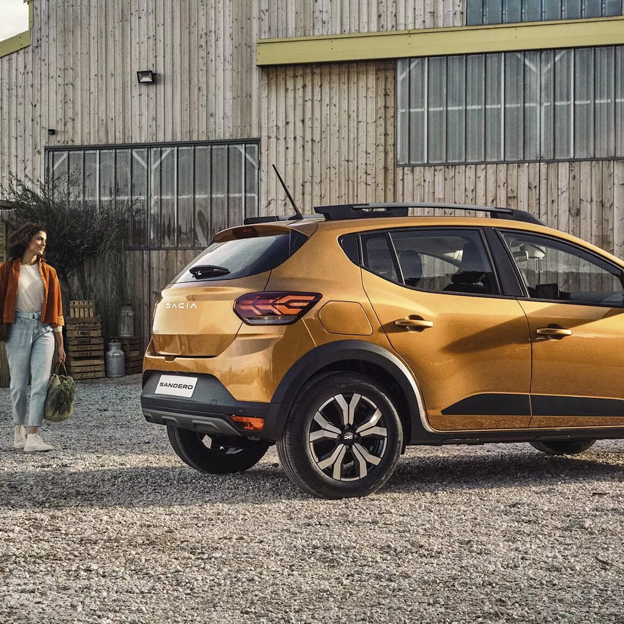 Sandero Stepway Rear Exterior