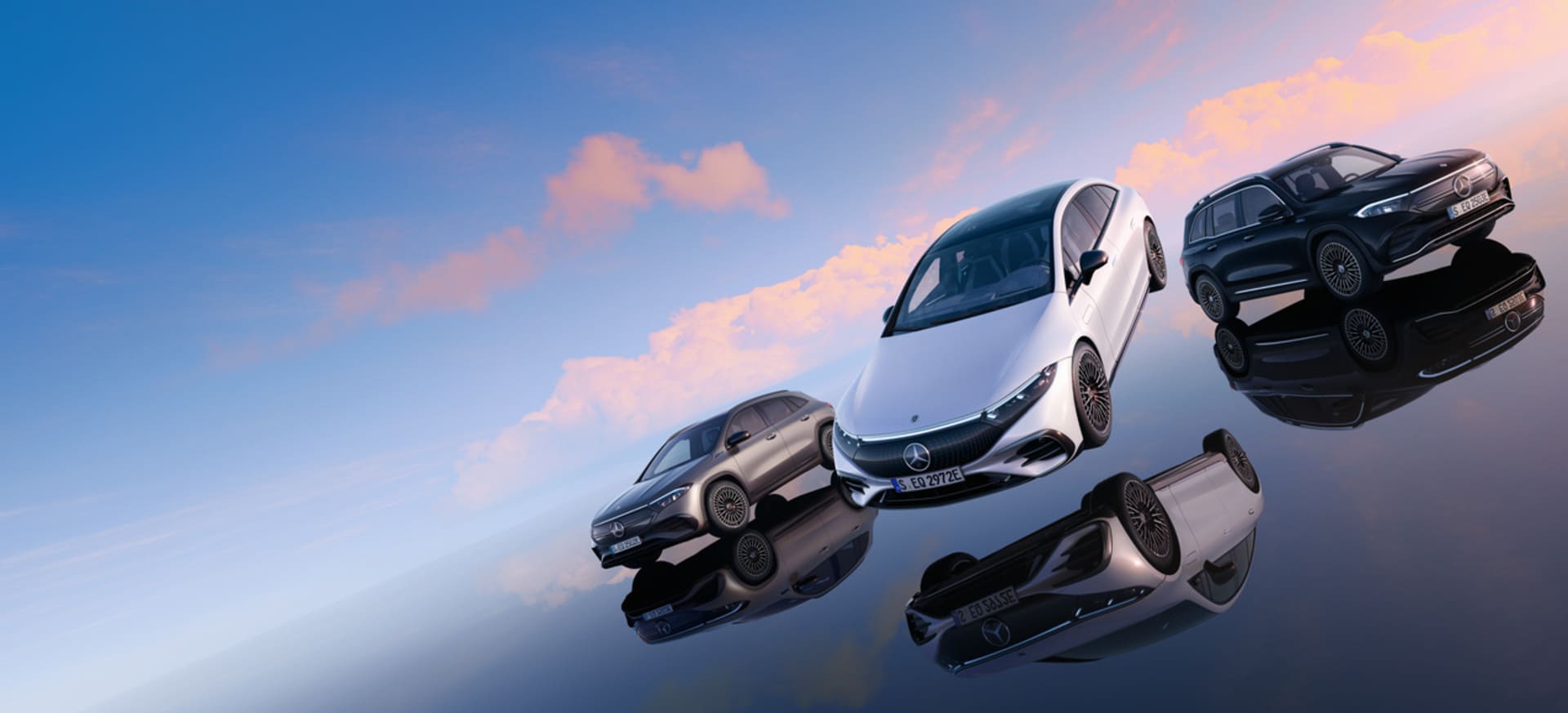 We Want Your Car.