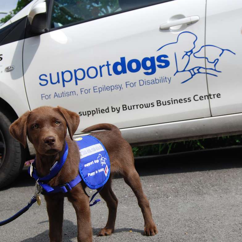 Support Dogs Uk Yorkshire Burrows Motor Company