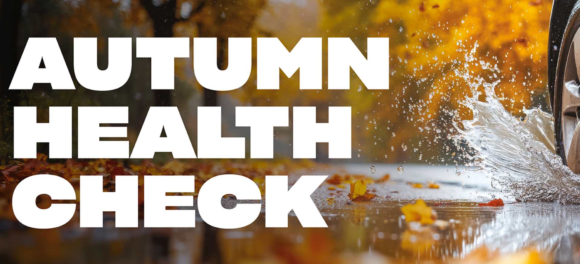 Autumn Health Check