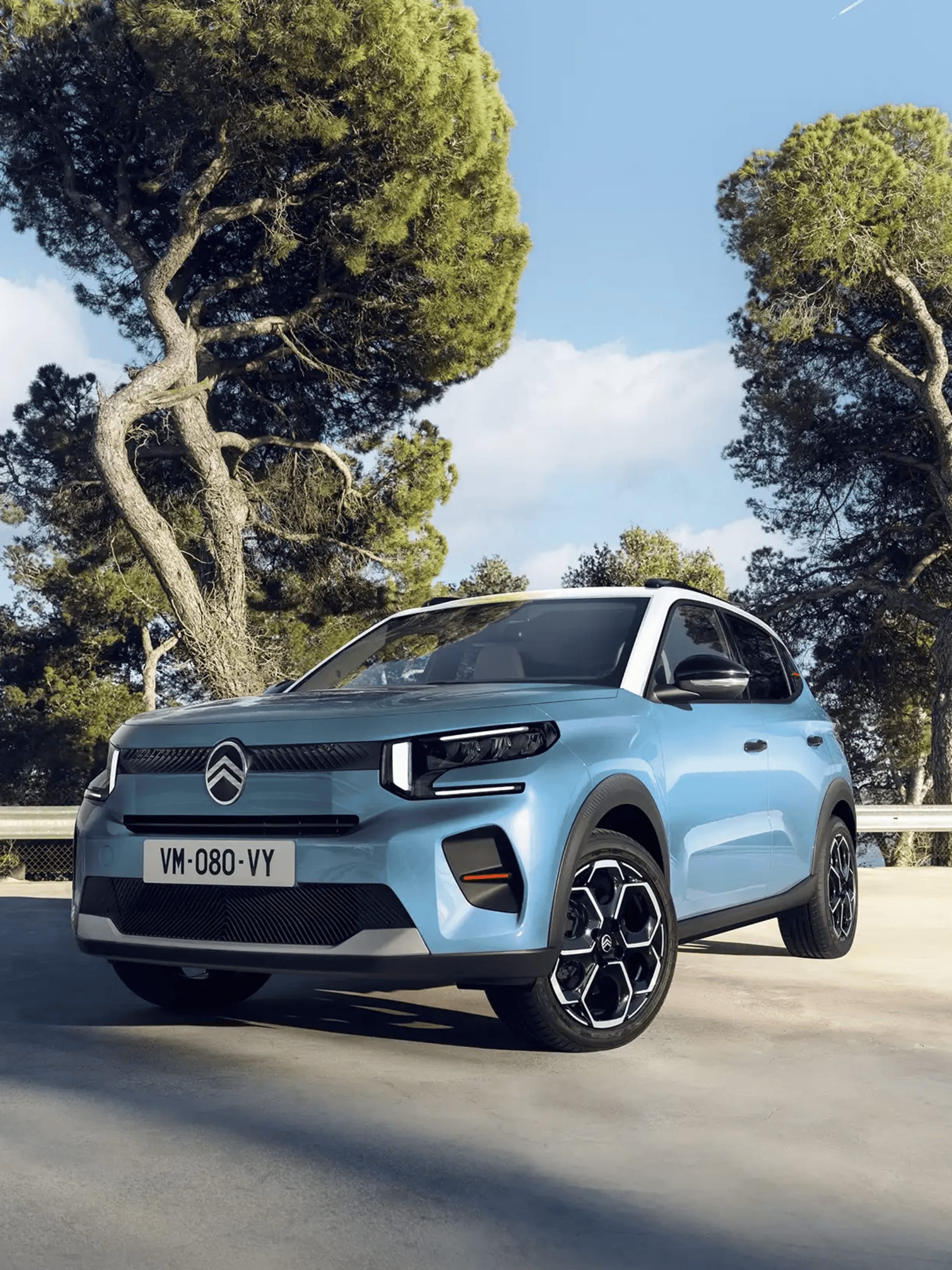 Citroen C3 Full body