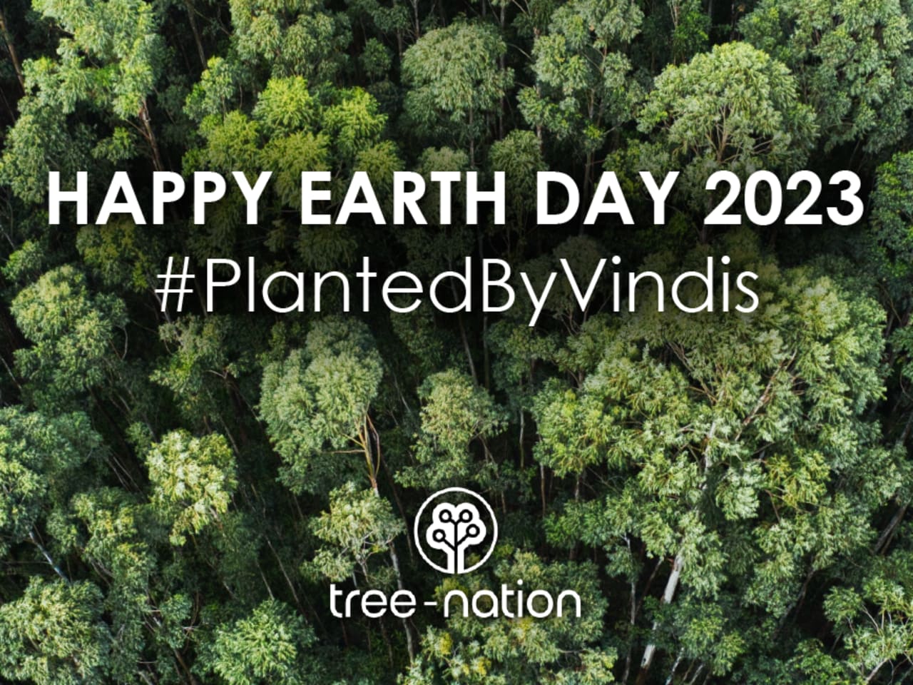Vindis Group celebrates Earth Day and one year of the #PlantedByVindis partnership with Tree-Nation