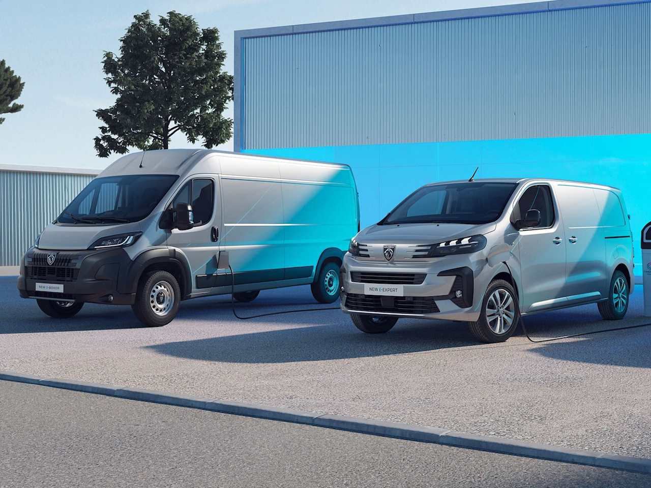 Peugeot Offers LCV 252