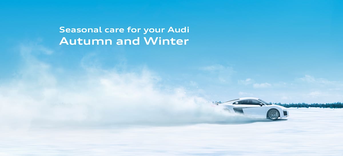 Winter Seasonal Care Suffolk Norfolk Robinsons Audi