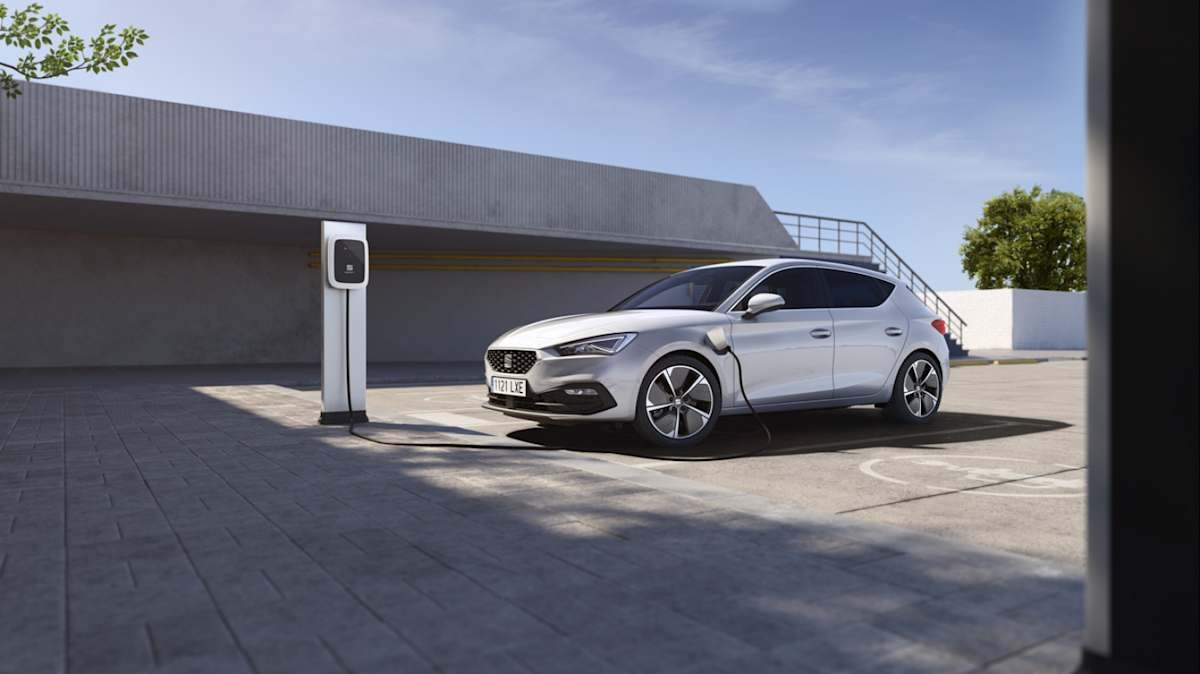 Leon plug top in hybrid