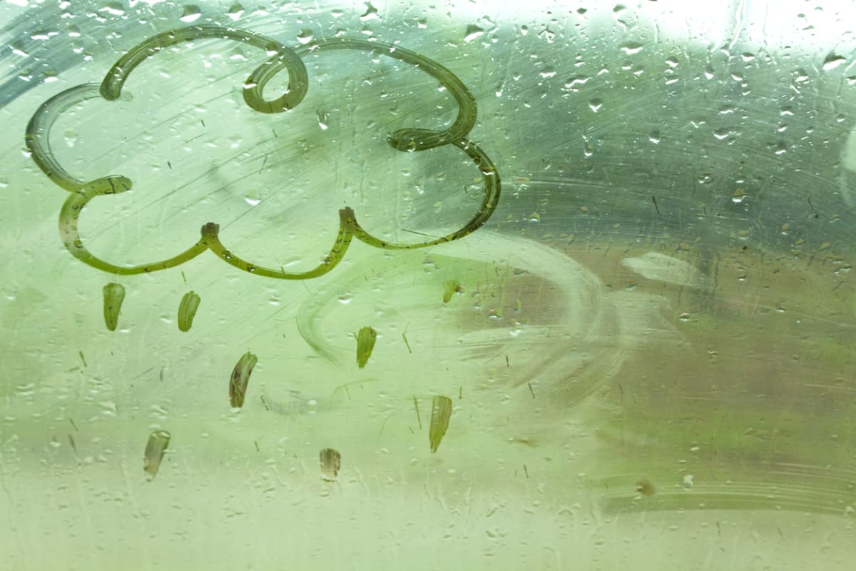 5 Causes Of Car Window Condensation & How To Stop It?
