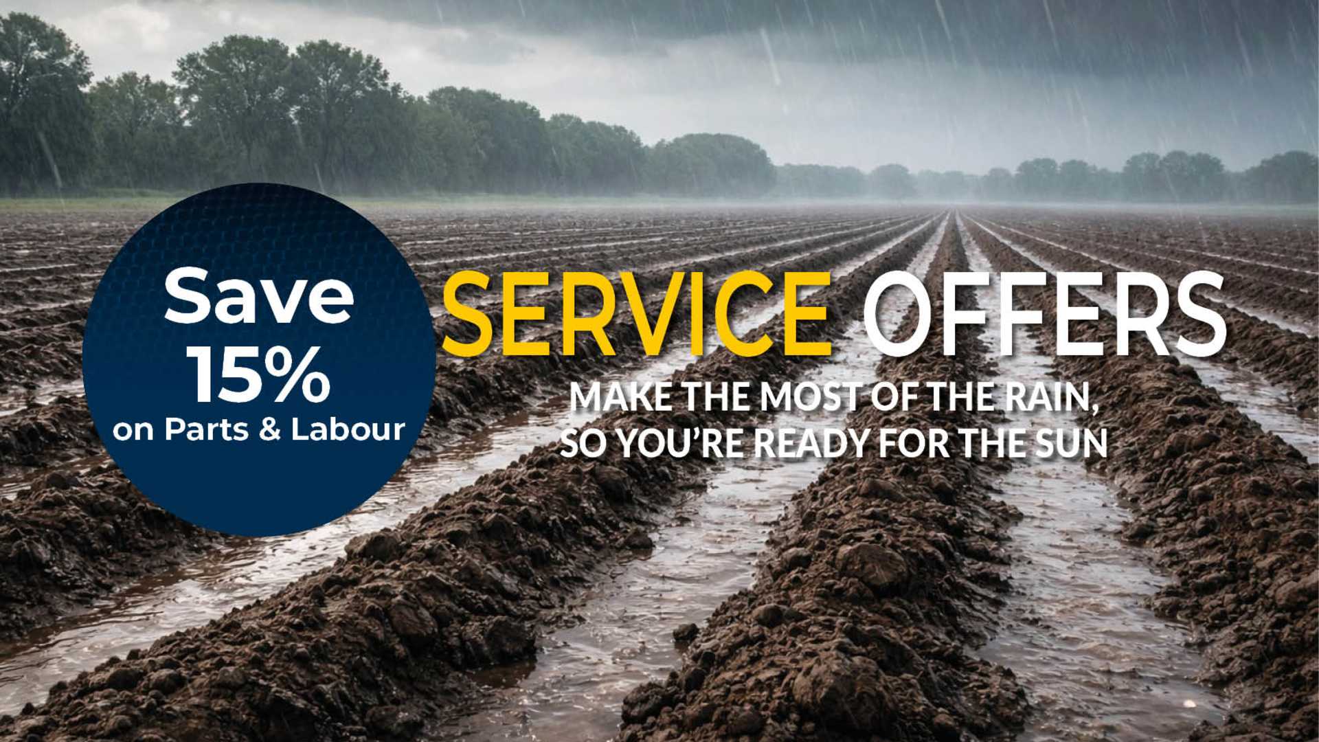 Haynes Winter Offers