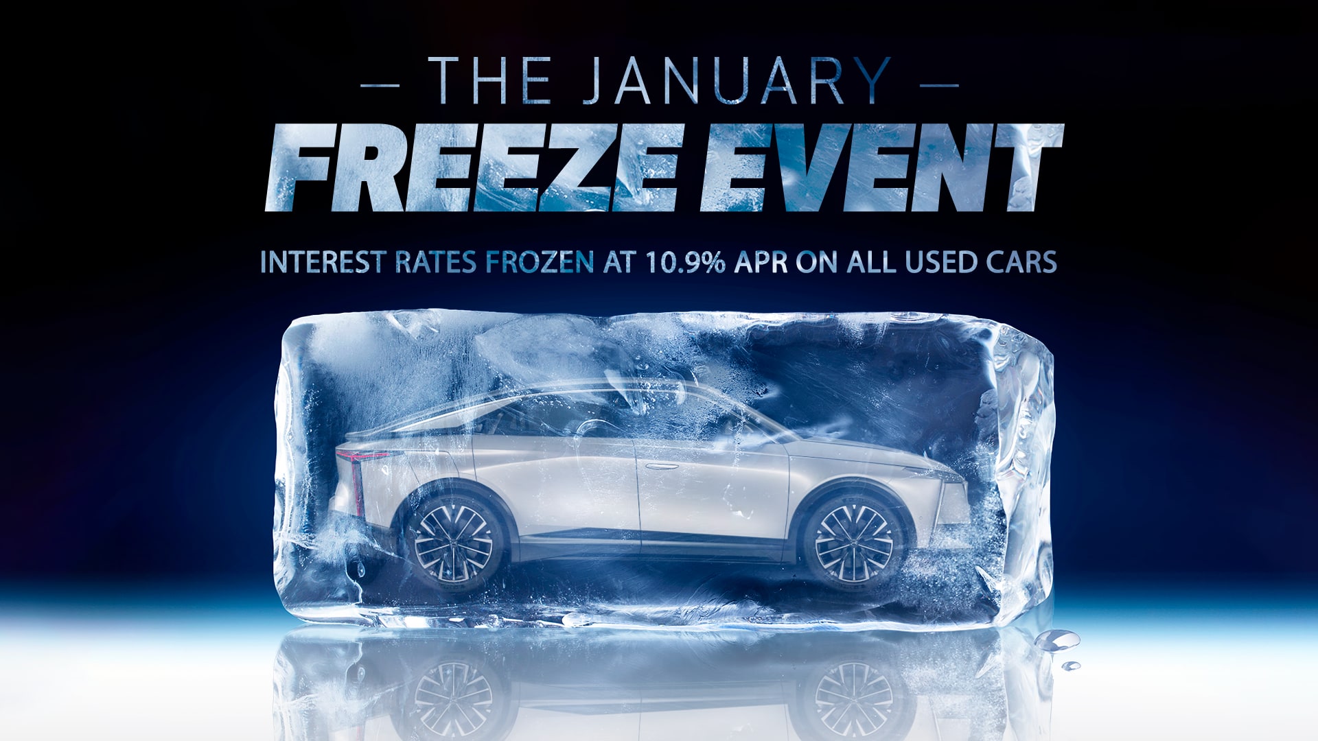The January Freeze Event