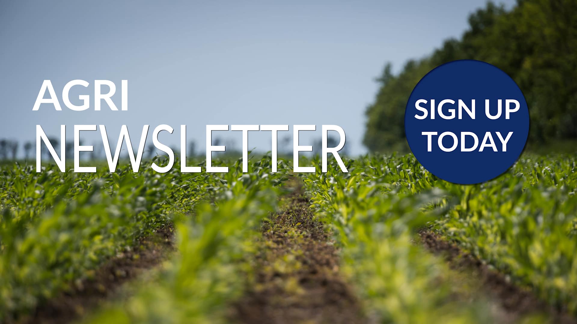 Haynes Agri Newsletter