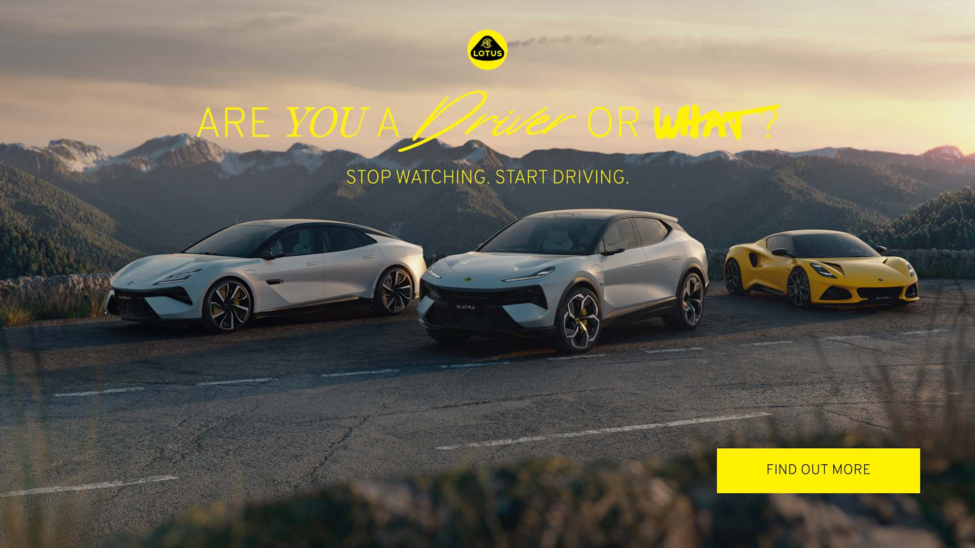 Lotus Driver or What?