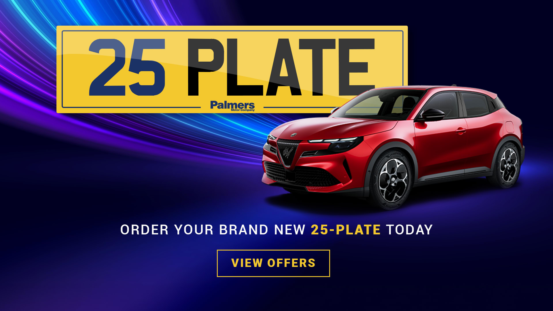 Brand New 25 Plate 