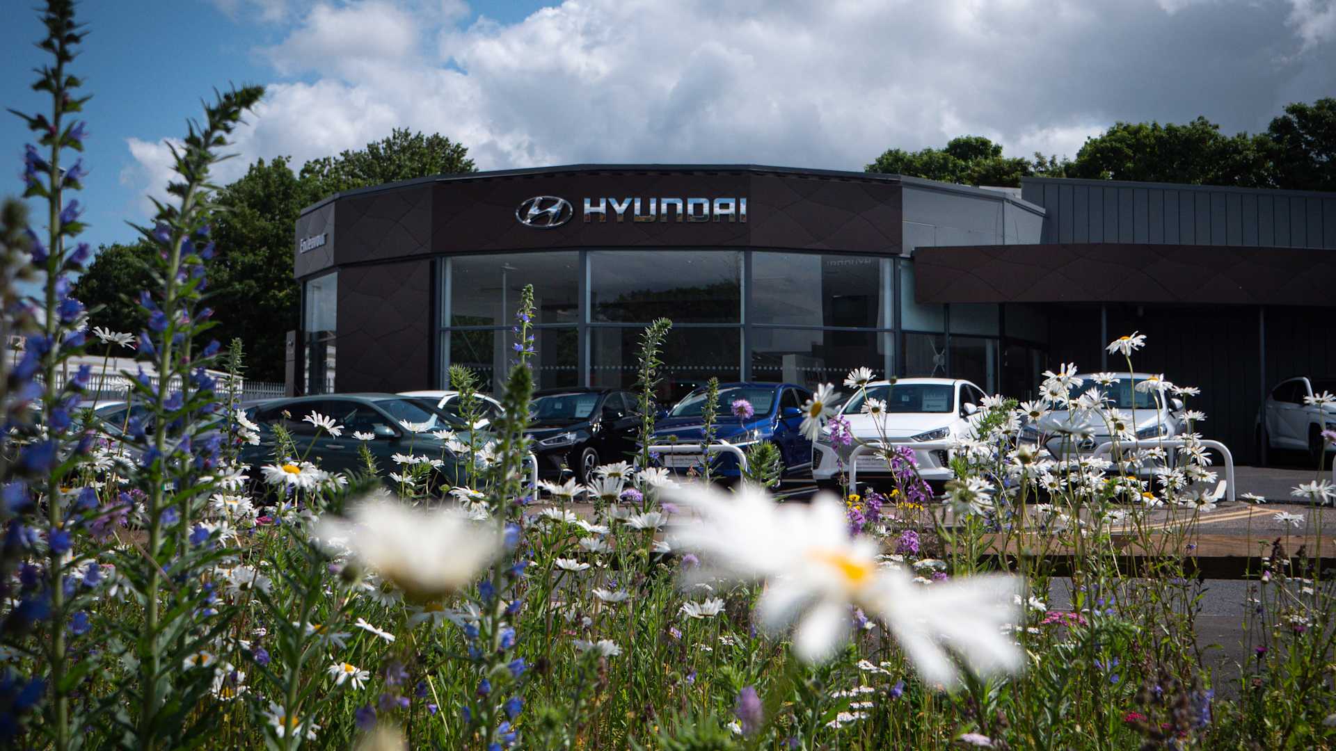 Hyundai Watford