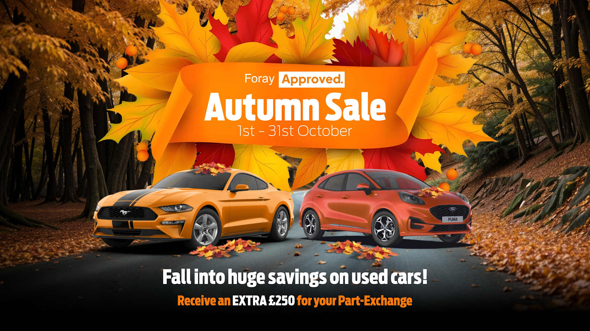 Foray Approved Autumn Sale Now On!