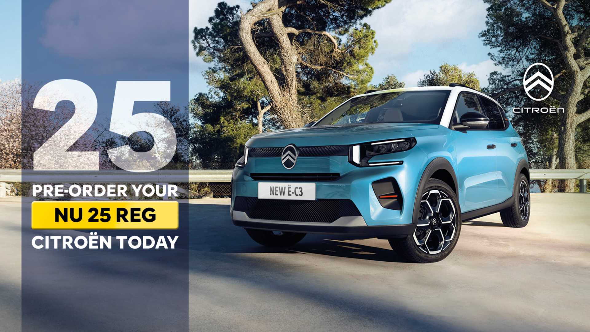 Citroen New 25 reg 
