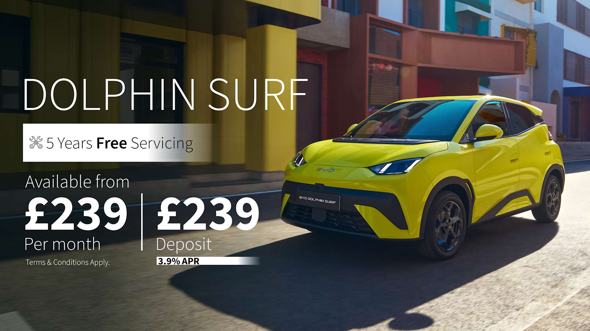 B2C Dolphin Surf