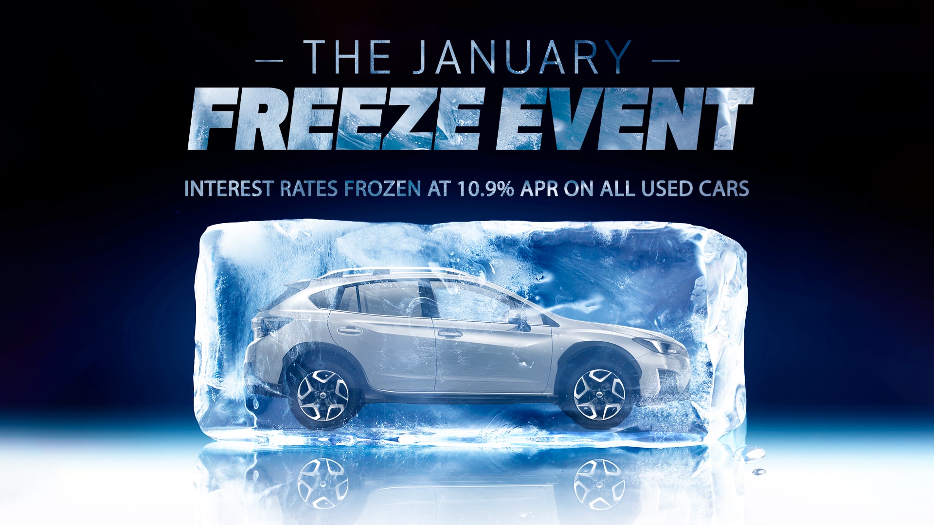 The January Freeze Event