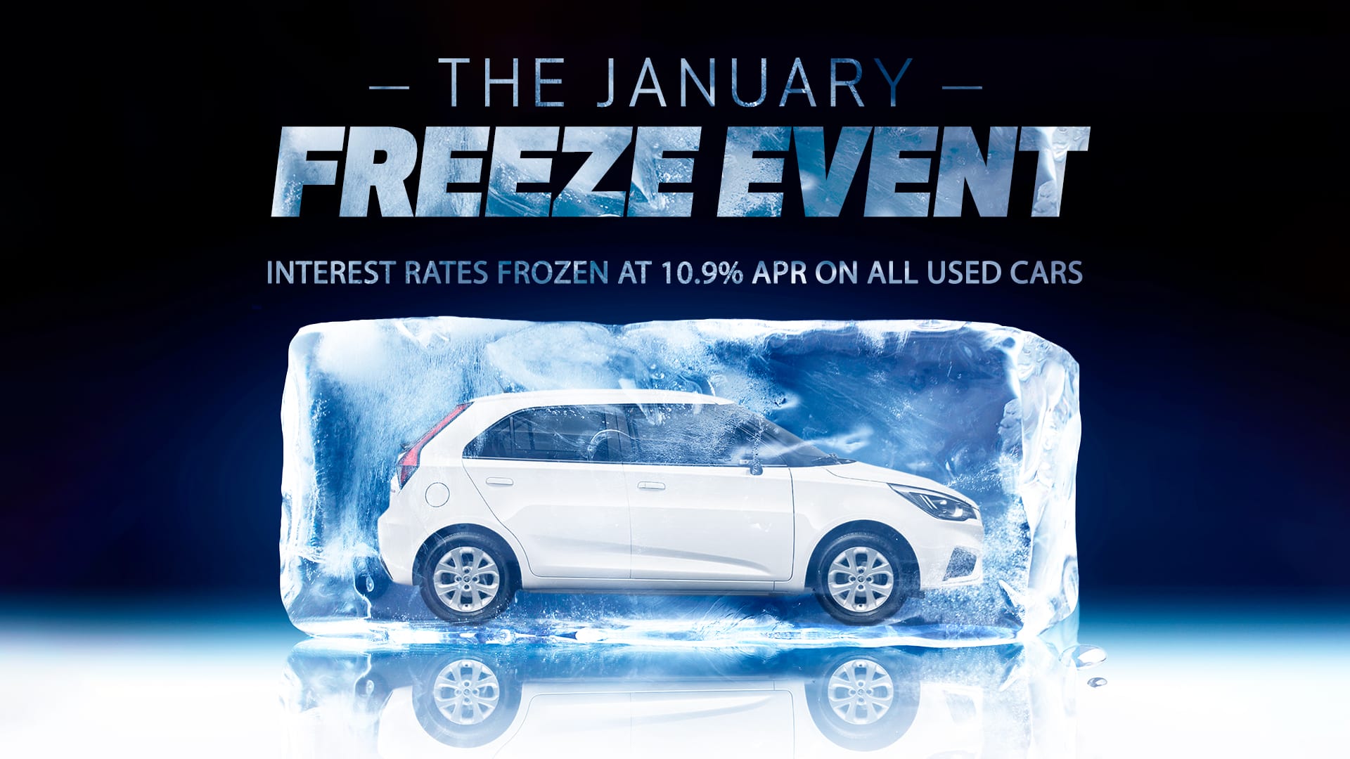 The January Freeze Event