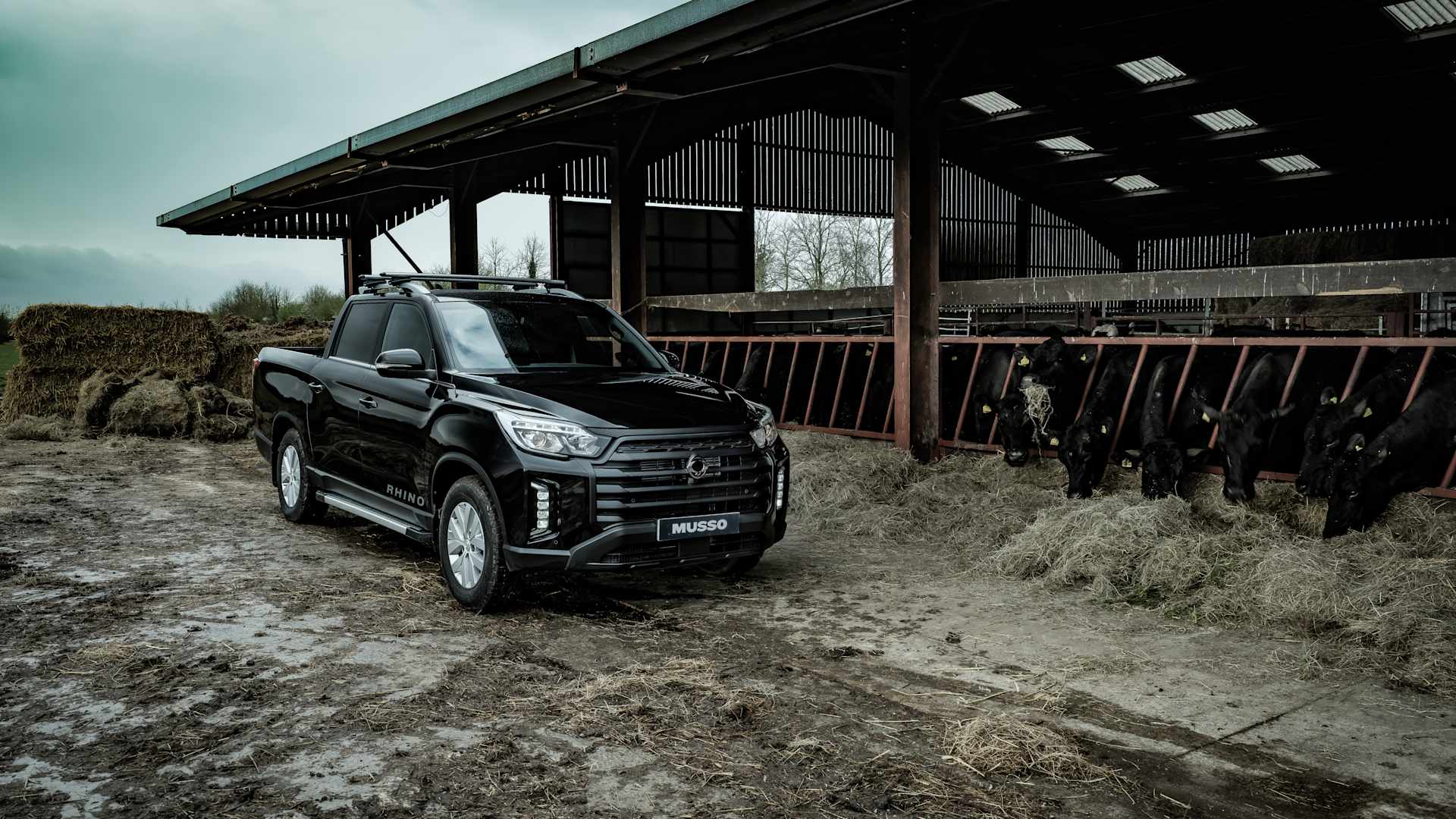  Made to conquer any territory