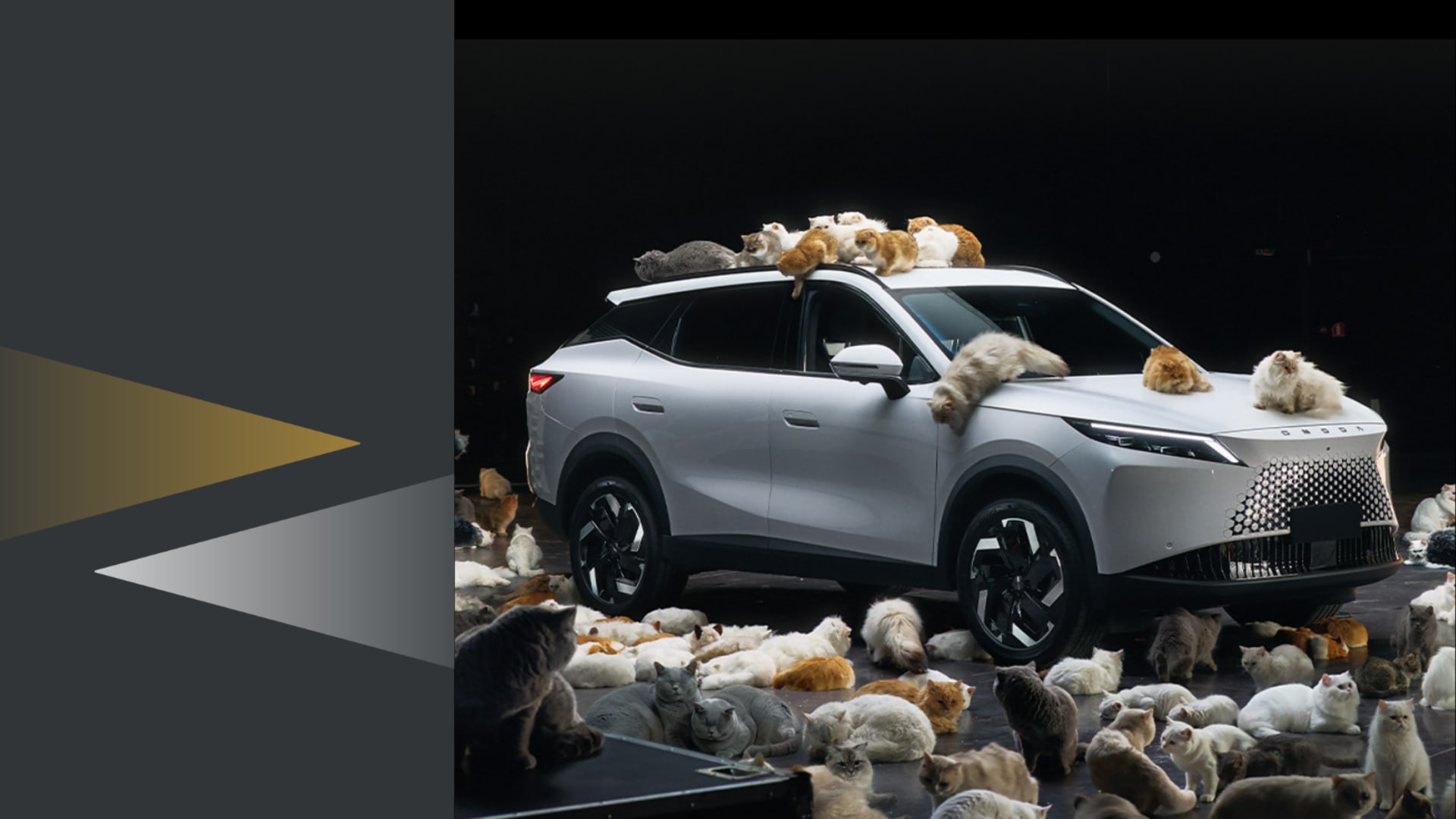 THE ALL-NEW O7 HAS ARRIVED
