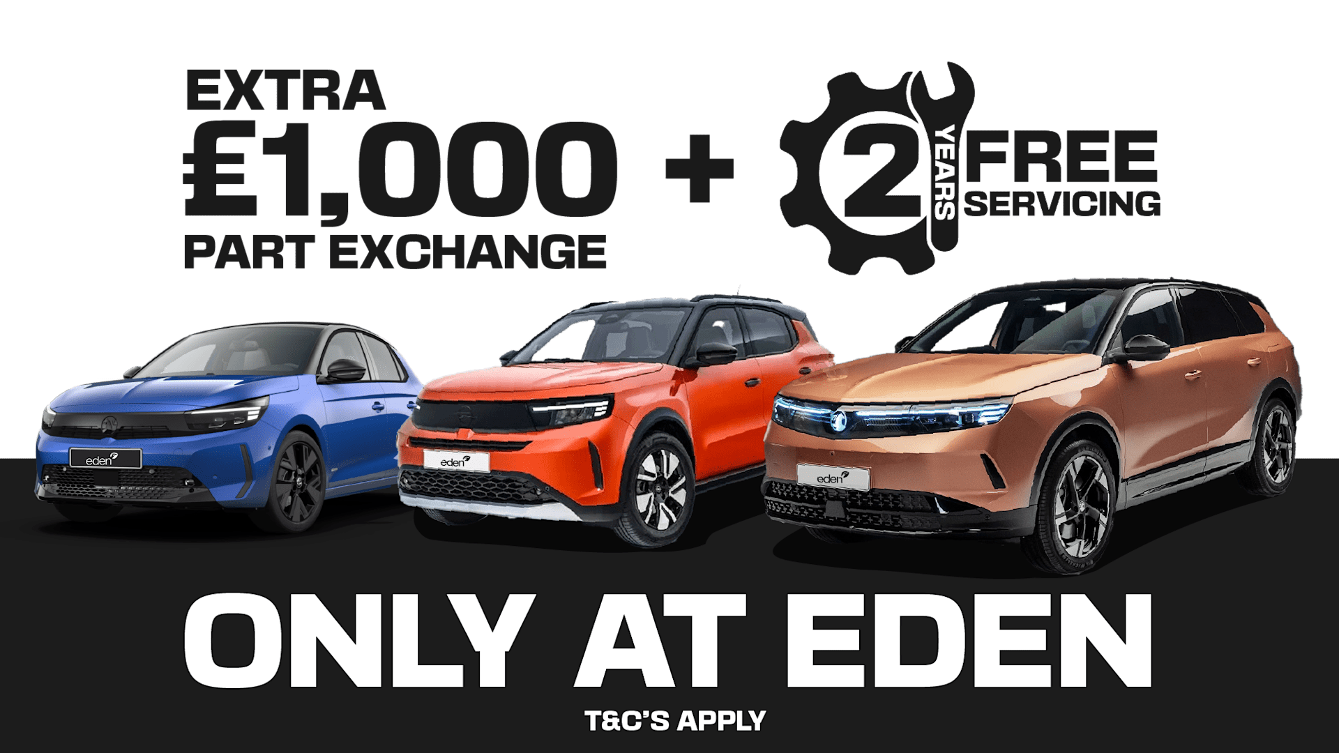 2025 Special Offer