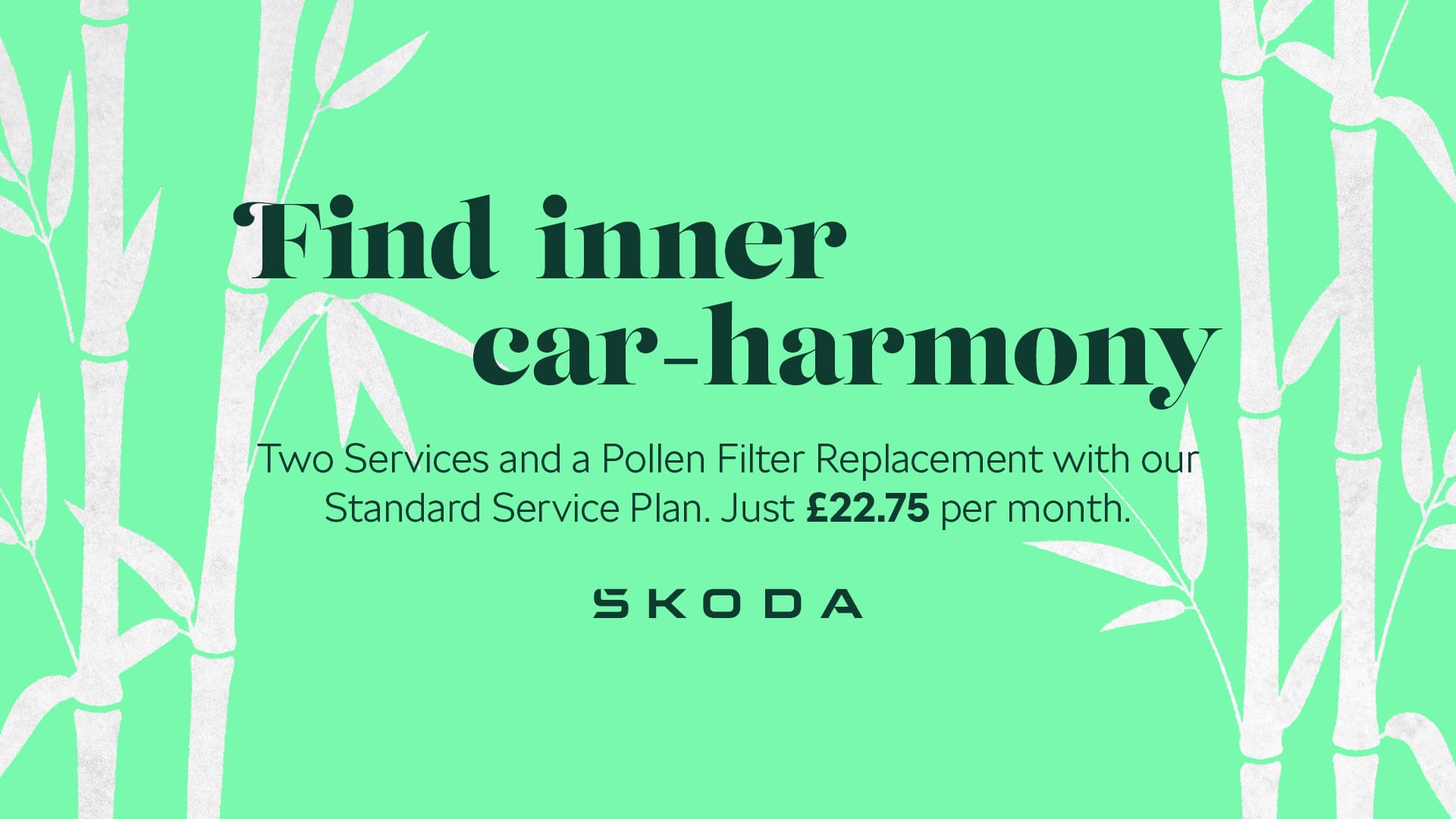  Standard Service Plan Skoda