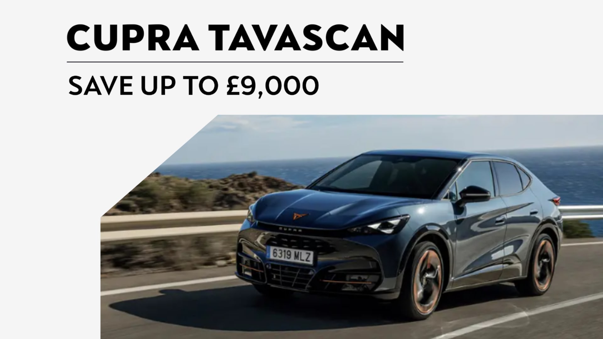 Tavascan offer