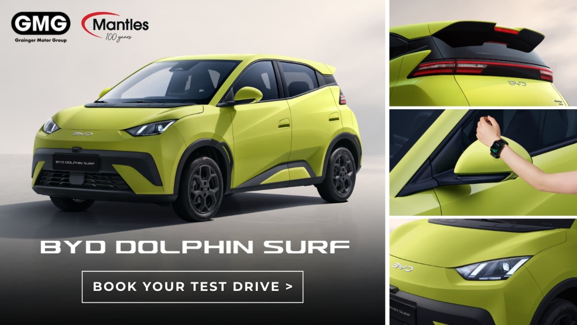 BYD Dolphin Surf
