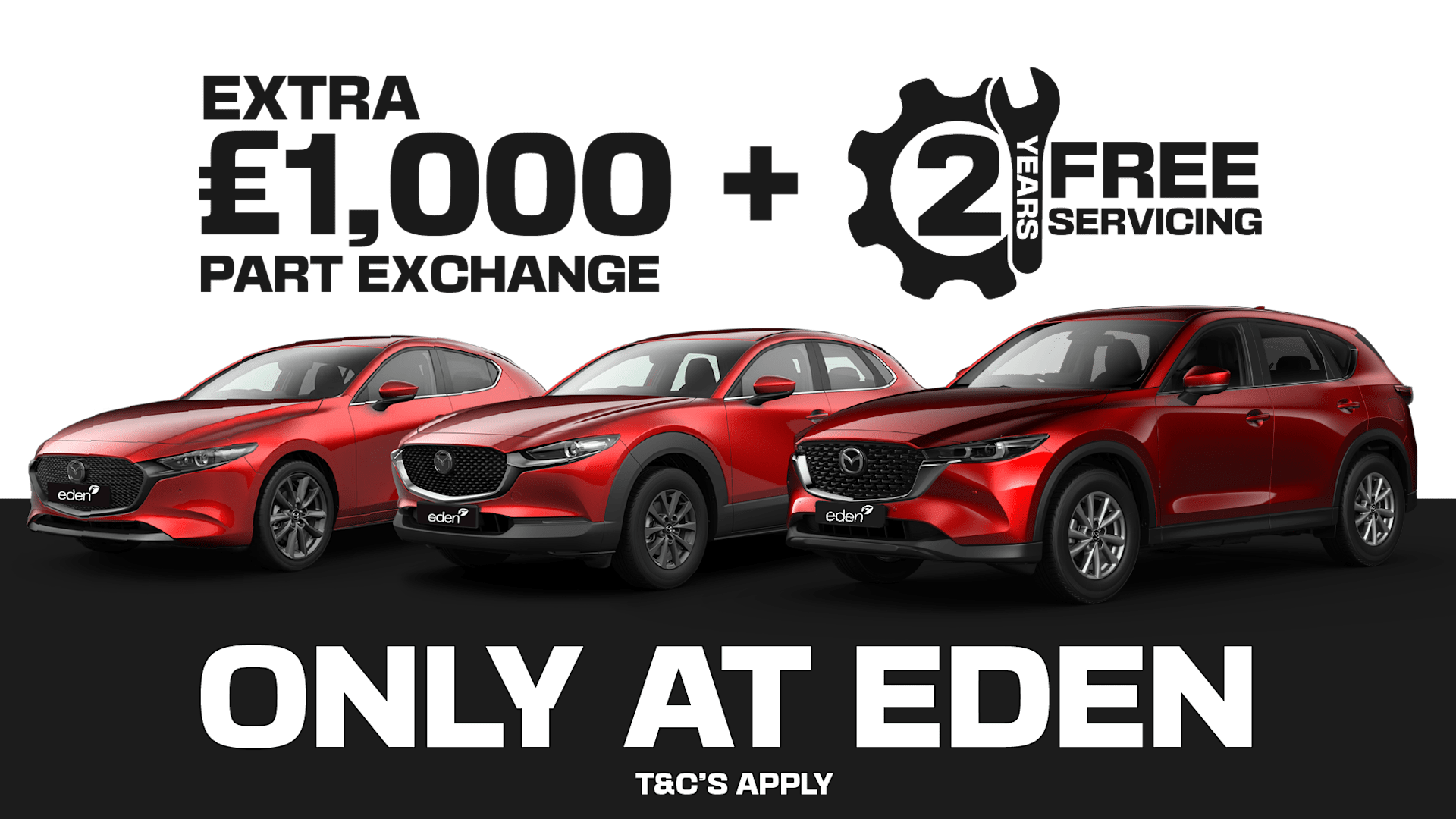 2025 Special Offer