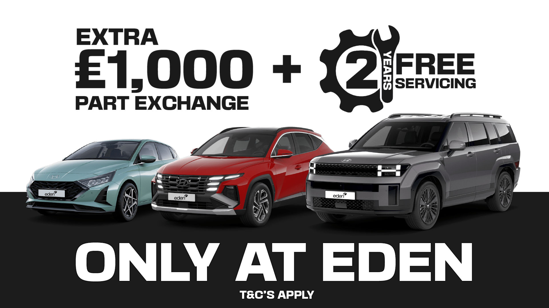 2025 Special Offer