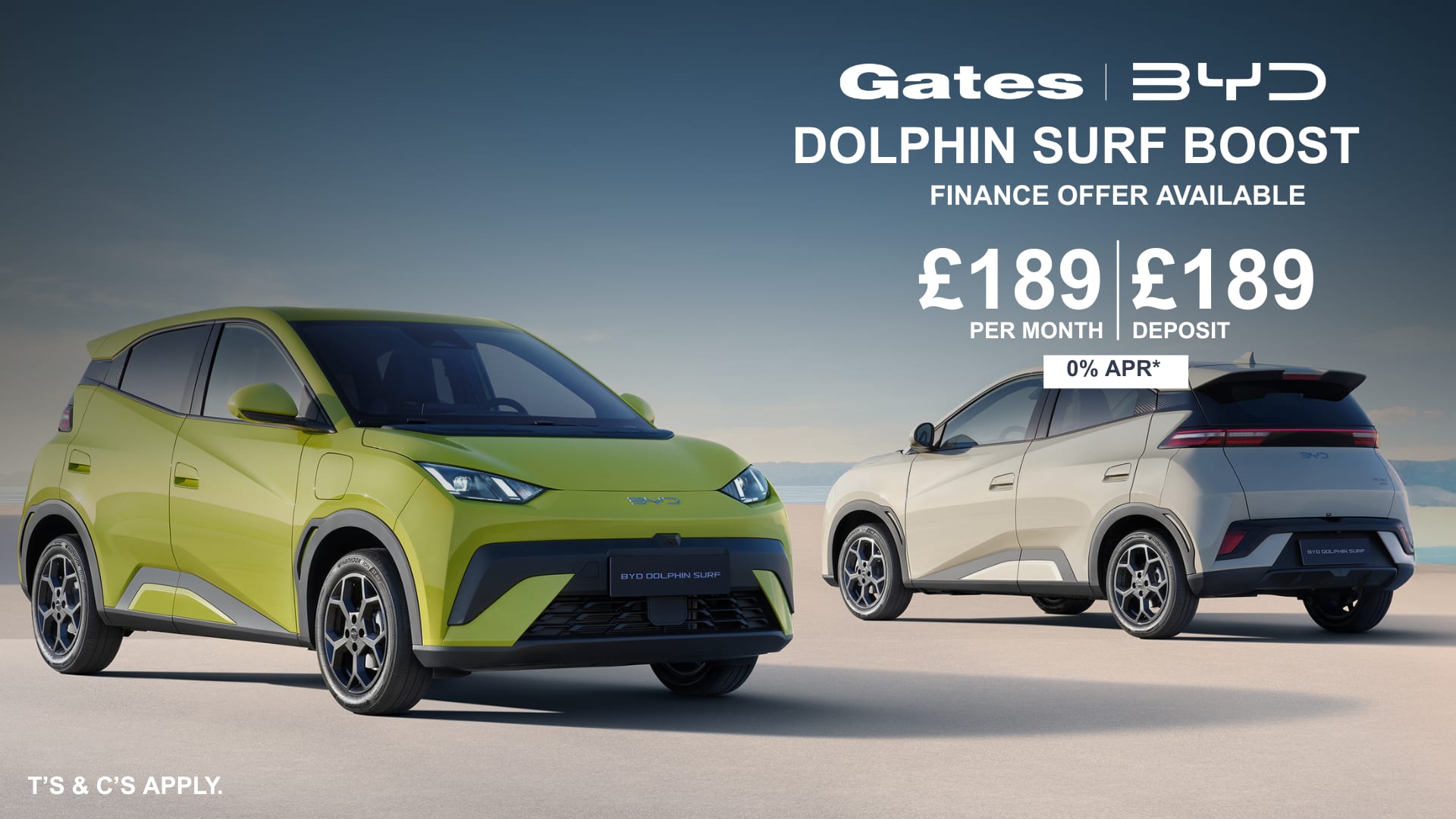 byd dolphin surf 189